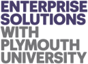 Enterprise Solutions Logo
